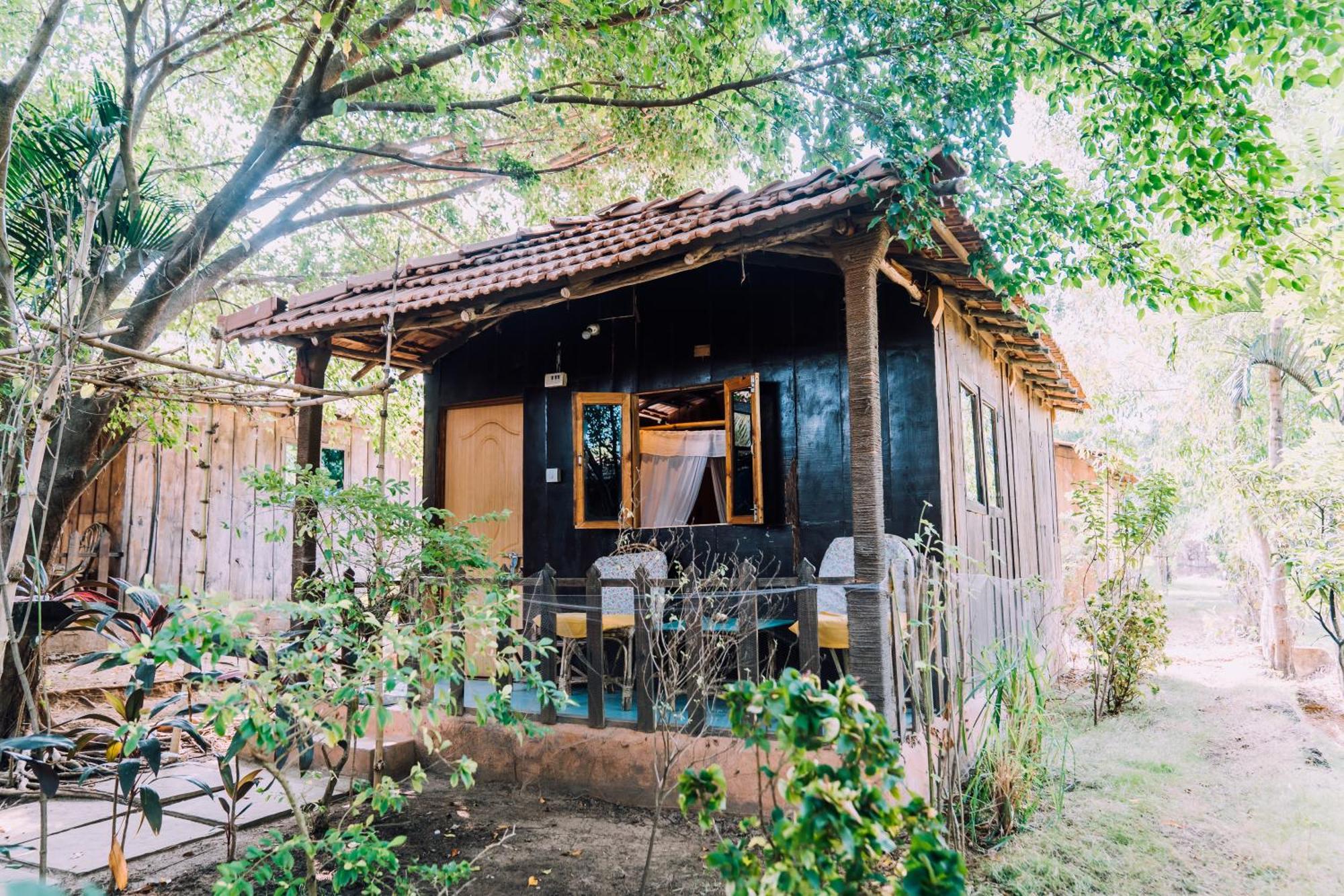 Jamboree Creek Yoga Mandrem Exterior foto